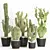  5 Unique 3D Cactus Vases 3D model small image 1