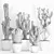  5 Unique 3D Cactus Vases 3D model small image 4