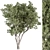 Boxwood Tree Set 315 3D model small image 1