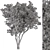 Boxwood Tree Set 315 3D model small image 3