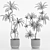 High-Resolution Plants Set 20 3D model small image 5