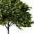 Dimensional Growth Release Tree 3D model small image 2