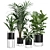 Exotic Indoor Plants Collection Pack 3D model small image 1