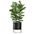 Exotic Indoor Plants Collection Pack 3D model small image 4