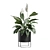 Exotic Indoor Plants Collection Pack 3D model small image 6