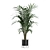 Exotic Indoor Plants Collection Pack 3D model small image 7