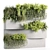 Premium Hanging Vertical Garden Plants 3D model small image 1