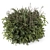 Outdoor Plants Bush Set 2259 3D model small image 1