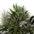 Outdoor Plants Bush Set 2260 3D model small image 3