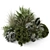 Outdoor Plants Bush Set 2260 3D model small image 5