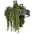 Circle Base Indoor Hanging Plants 3D model small image 2