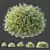 Snowflake Gypsophila 3D Plant Models 3D model small image 2