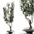 Elegant Branches in Clear Vases 3D model small image 1