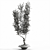 Elegant Branches in Clear Vases 3D model small image 2