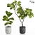 High-Resolution Plants Set for 3D Renders 3D model small image 5