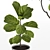 High-Resolution Plants Set for 3D Renders 3D model small image 6