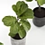 High-Resolution Plants Set for 3D Renders 3D model small image 2