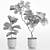 High-Resolution Plants Set for 3D Renders 3D model small image 4