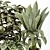 Detailed Indoor Plant 3D Model 3D model small image 4