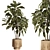 Natural Wood Indoor Plant Decor 3D model small image 5