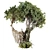 High-Quality Jungle Tree Model 3D model small image 1