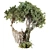 High-Quality Jungle Tree Model 3D model small image 2