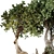 High-Quality Jungle Tree Model 3D model small image 5