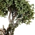 High-Quality Jungle Tree Model 3D model small image 6