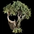 High-Quality Jungle Tree Model 3D model small image 7