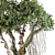 Jungle Tree & Ivy Plants Kit 3D model small image 5