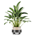 PBR Indoor Plant Set 02 3D model small image 4