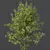 Mixed Tree 3D Models Pack 3D model small image 2