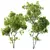 Mixed Tree 3D Models Pack 3D model small image 4