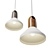 Rustic Industrial Pendant Light 3D model small image 3