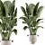 Modern Model Indoor Plant 206 3D model small image 1