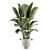 Modern Model Indoor Plant 206 3D model small image 2