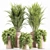 Modern Indoor Plants Shelf Render 3D model small image 1