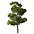 Forest Green Pine Tree No.104 3D model small image 1