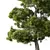 Forest Green Pine Tree No.104 3D model small image 2