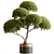 Foliage Oasis: Tree in Pot 3D model small image 1