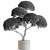 Foliage Oasis: Tree in Pot 3D model small image 3