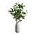 Elegant Eucalyptus Vase Bouquet 3D model small image 2