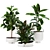 Max 3D Plants Set 107 3D model small image 1