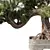 Zen Bonsai Tree Set 3D model small image 5