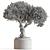 Bonsai Set - Indoor Plant 3D model small image 4