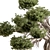 Bonsai Plant 754  Indoor 3D model small image 4