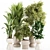 Premium Indoor Plants Set 107 3D model small image 1