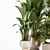 Premium Indoor Plants Set 107 3D model small image 4