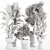 Premium Indoor Plants Set 107 3D model small image 7