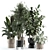 Elegant Model Indoor Plant 225 3D model small image 1